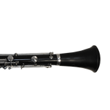 Chadash Basset A Extension and Bell