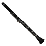 Chadash Basset A Extension