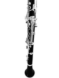 Premium Chadash Professional Clarinet Set - Bb & A