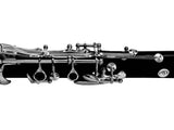 Premium Chadash Professional Clarinet Set - Bb & A